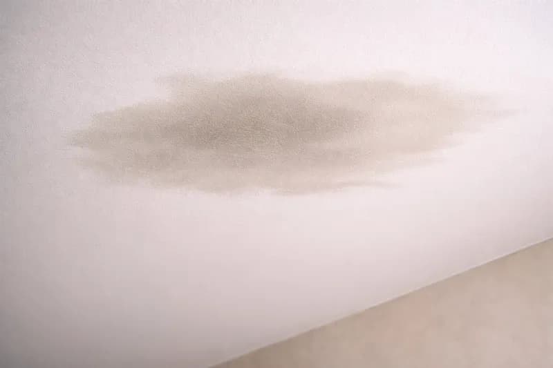 Illustration de l’article : Dégât des eaux au plafond : que faire dans les 24h et comment éviter l’humidité durable